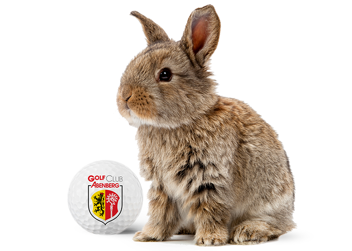 Hase_freigestellt_ball_2 Hase_freigestellt_ball_2
